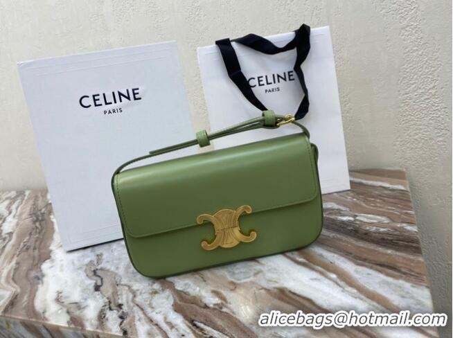 Top Design Celine TRIOMPHE SHOULDER BAG IN NATURAL CALFSKIN 194143 green