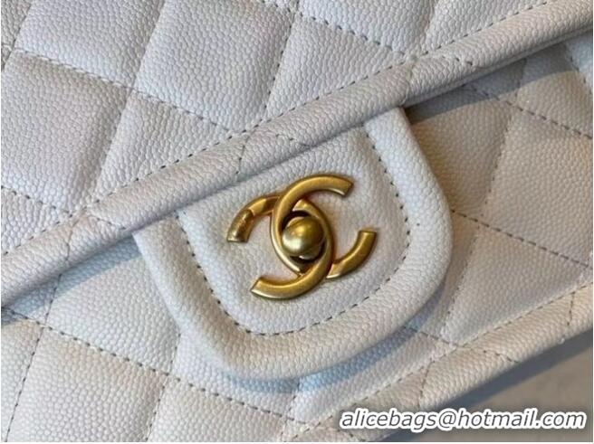 New Fashion Chanel cross-body bag AS2356 white