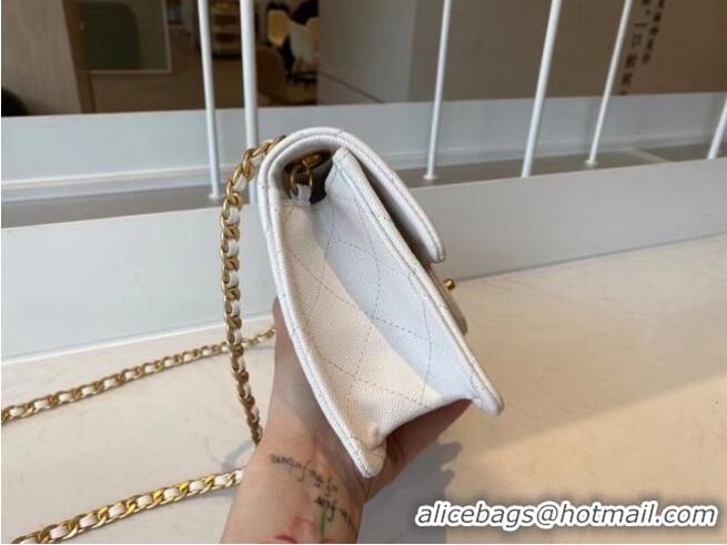 New Fashion Chanel cross-body bag AS2356 white