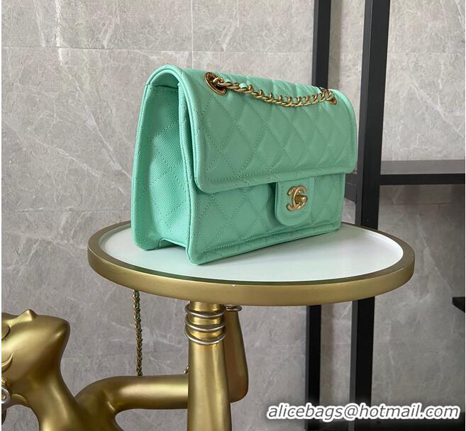 Luxury Classic Chanel flap bag Grained Calfskin AS2357 light green