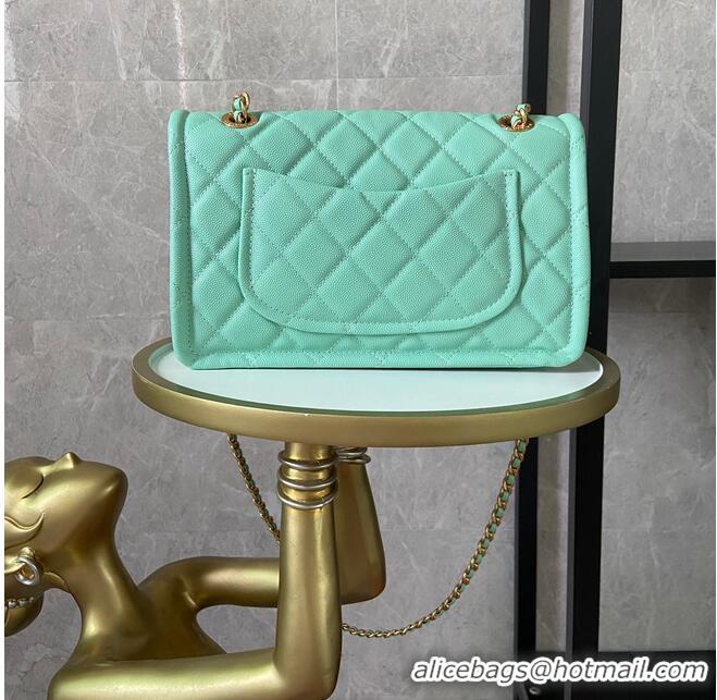 Luxury Classic Chanel flap bag Grained Calfskin AS2357 light green