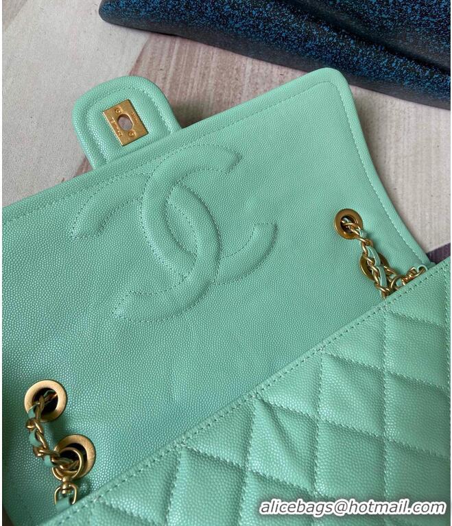 Classic Chanel flap bag Grained Calfskin AS2358 light green