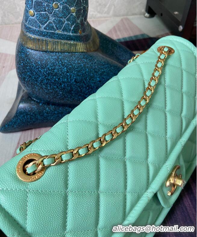 Classic Chanel flap bag Grained Calfskin AS2358 light green