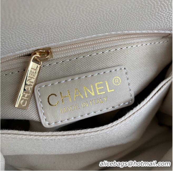 Top Design Chanel coco mini flap bag with top handle AS2215 White