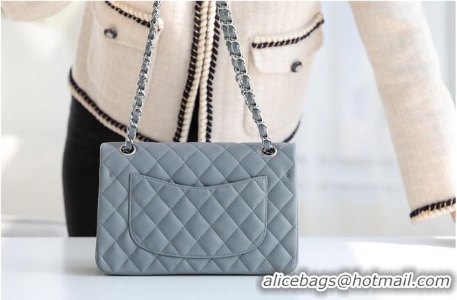 Discount Chanel Small Classic Handbag Sheepskin & silver-Tone Metal A01113 grey