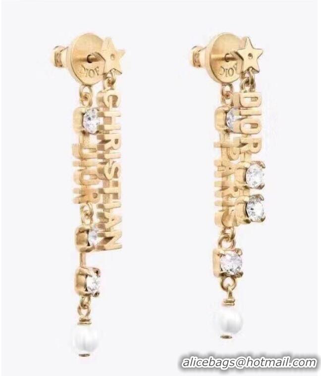 Shop Cheapest Dior Earrings CE6333