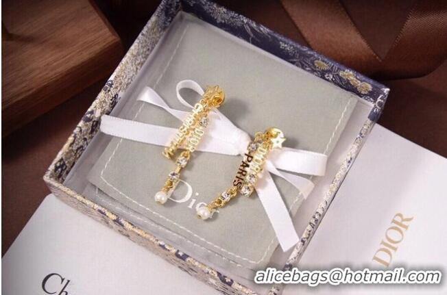 Shop Cheapest Dior Earrings CE6333