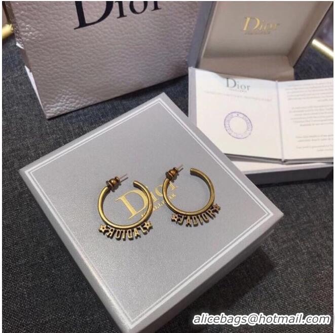 Low Price Classic Dior Earrings CE6343