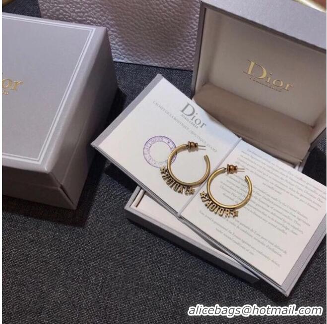 Low Price Classic Dior Earrings CE6343