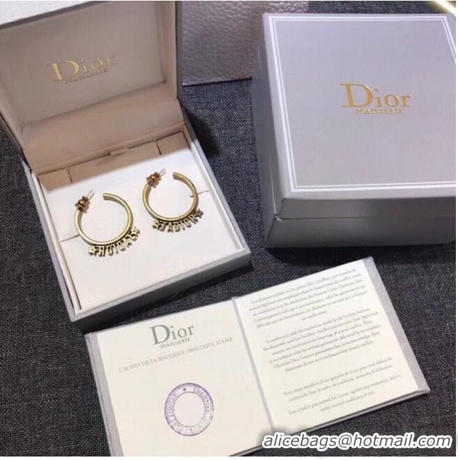 Low Price Classic Dior Earrings CE6343