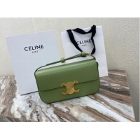 Top Design Celine TRIOMPHE SHOULDER BAG IN NATURAL CALFSKIN 194143 green