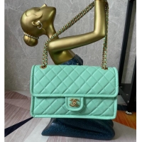 Classic Chanel flap bag Grained Calfskin AS2358 light green