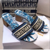 Affordable Price Dior Dway Heeled Slide Sandals in CD0723 Ocean Blue D-Stripes Embroidered Cotton 2021