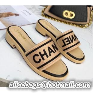 Best Luxury Chanel Canvas Striped Slide Sandals G34826  Beige 2021