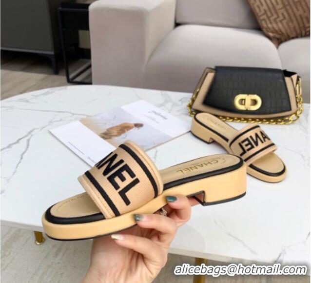 Best Luxury Chanel Canvas Striped Slide Sandals G34826  Beige 2021