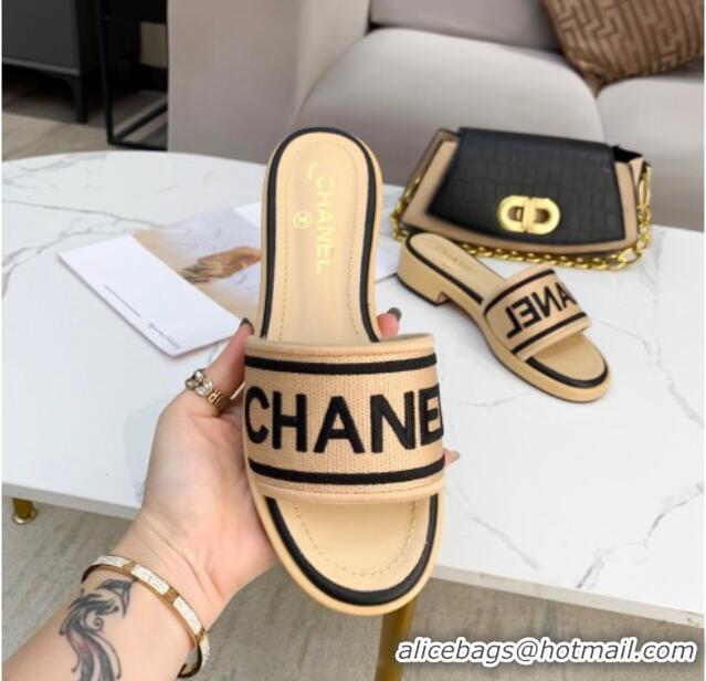 Best Luxury Chanel Canvas Striped Slide Sandals G34826  Beige 2021