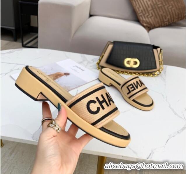 Best Luxury Chanel Canvas Striped Slide Sandals G34826  Beige 2021