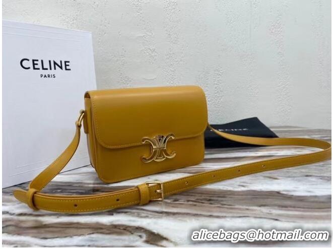 Luxury Cheap Celine TEEN TRIOMPHE BAG IN SHINY CALFSKIN MINERAL 188423 Yellow