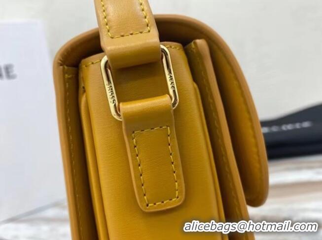 Luxury Cheap Celine TEEN TRIOMPHE BAG IN SHINY CALFSKIN MINERAL 188423 Yellow