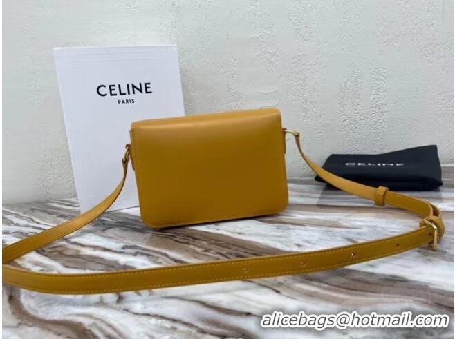 Luxury Cheap Celine TEEN TRIOMPHE BAG IN SHINY CALFSKIN MINERAL 188423 Yellow