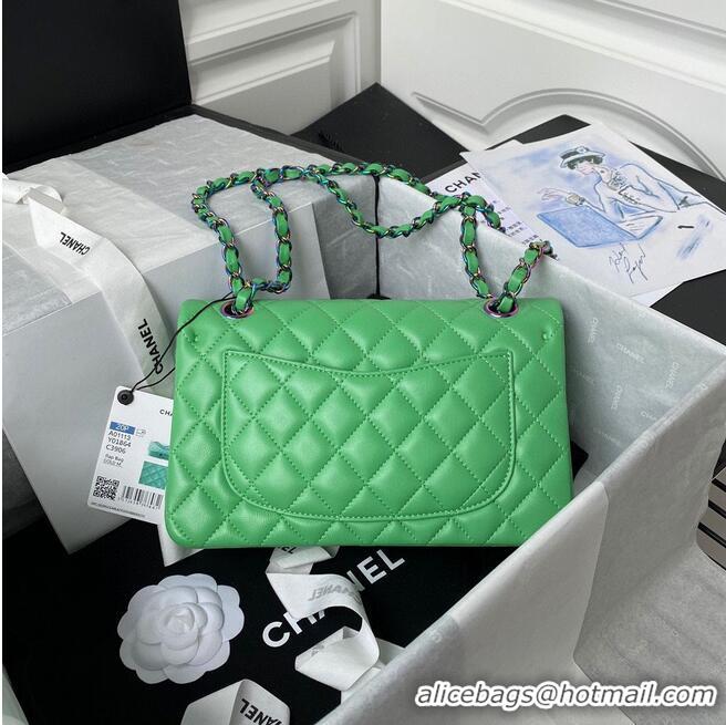 New Style Chanel Classic Flap Shoulder Bag Original Sheepskin leather Colors Buckle Medium A01113 Green&Blue