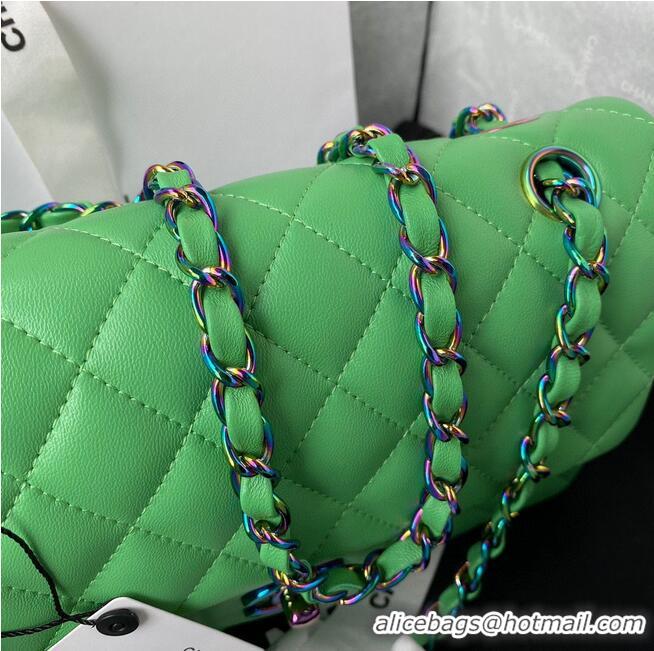 New Style Chanel Classic Flap Shoulder Bag Original Sheepskin leather Colors Buckle Medium A01113 Green&Blue