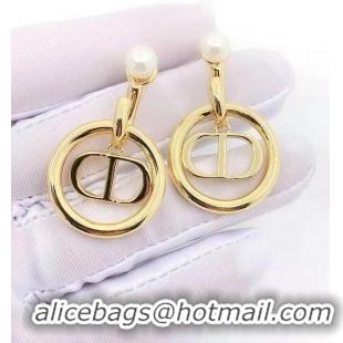 Buy Discount Dior Earrings CE5850