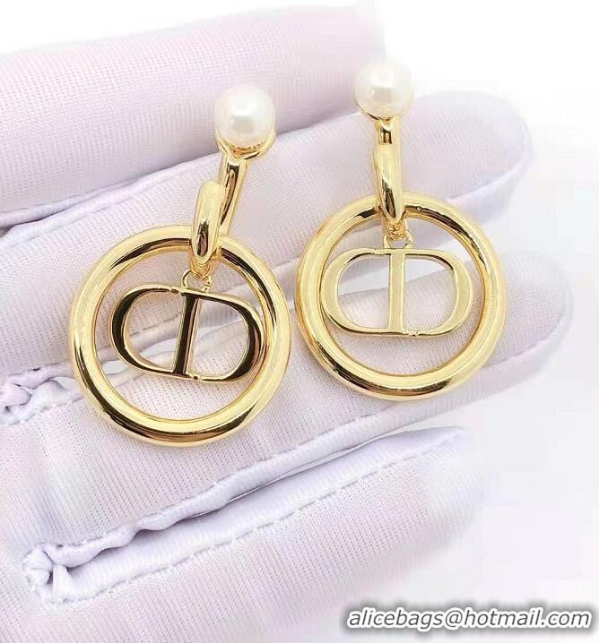 Buy Discount Dior Earrings CE5850