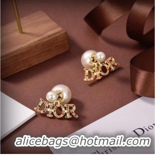 Classic Cheapest Dior Earrings CE6417