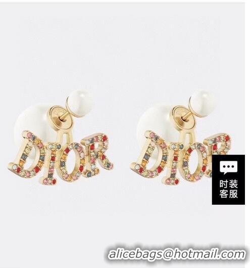 Classic Cheapest Dior Earrings CE6417