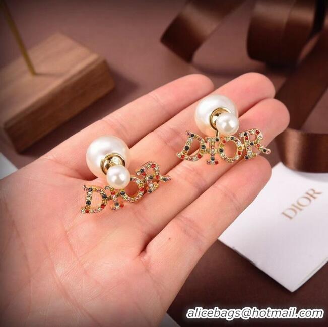 Classic Cheapest Dior Earrings CE6417