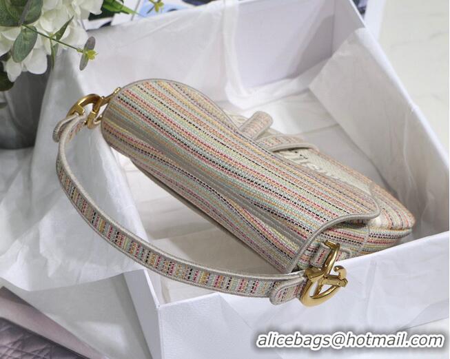 New Design DIOR Embroidery Striped Color SADDLE BAG M0446C Beige