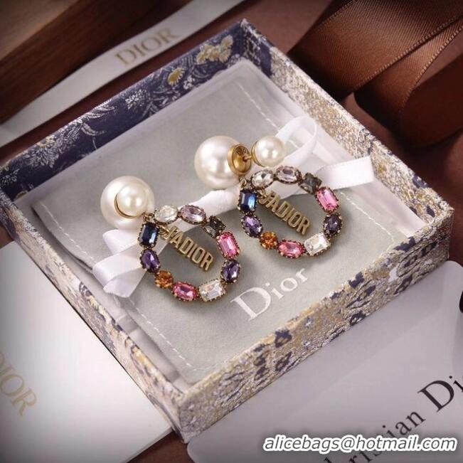 Buy Discount Dior Earrings CE6465