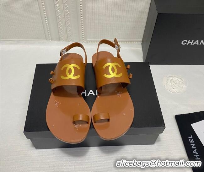 Best Quality Chanel Calfskin Thong Flat Sandals G36885 Brown 2021