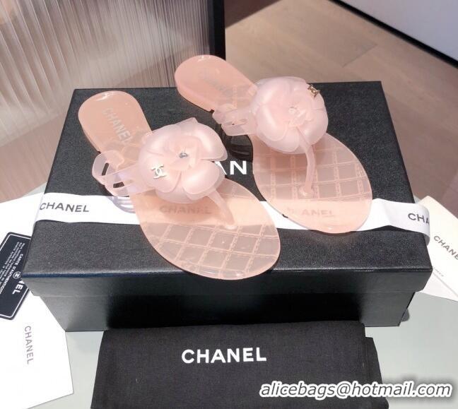 Low Price Chanel Transparent Flat Thong Sandals with Camellia 051049 Pink 2021