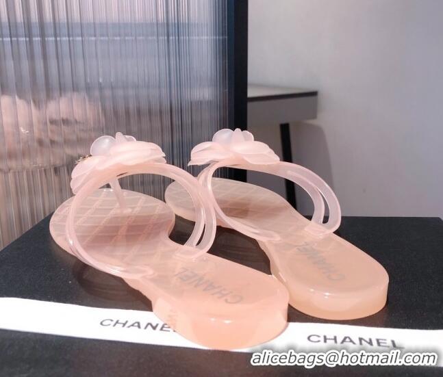 Low Price Chanel Transparent Flat Thong Sandals with Camellia 051049 Pink 2021