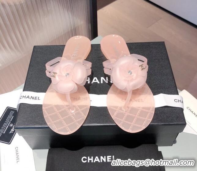 Low Price Chanel Transparent Flat Thong Sandals with Camellia 051049 Pink 2021