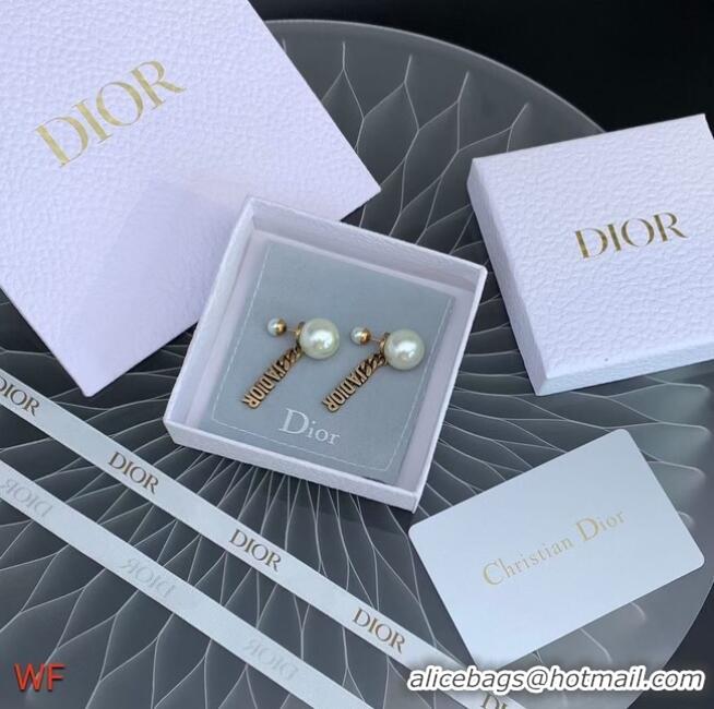 Grade Cheapest Dior Earrings CE6467