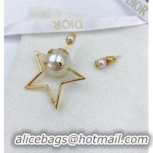 Specials Inexpensive Dior Earrings CE6470