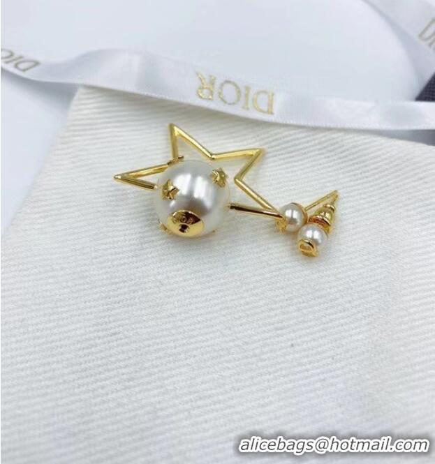 Specials Inexpensive Dior Earrings CE6470