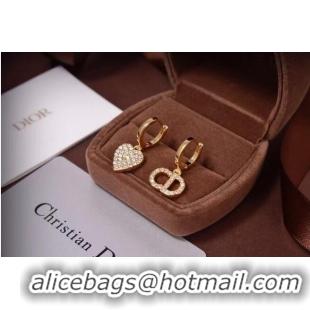 Fashion Wholesale Dior Earrings CE6473