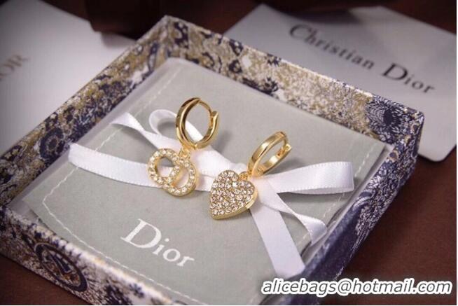 Fashion Wholesale Dior Earrings CE6473