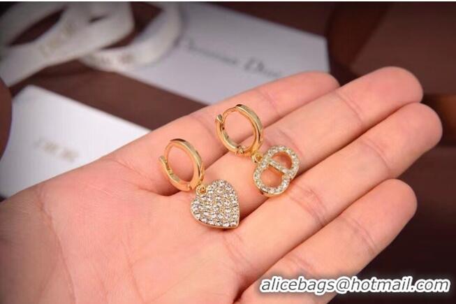 Fashion Wholesale Dior Earrings CE6473