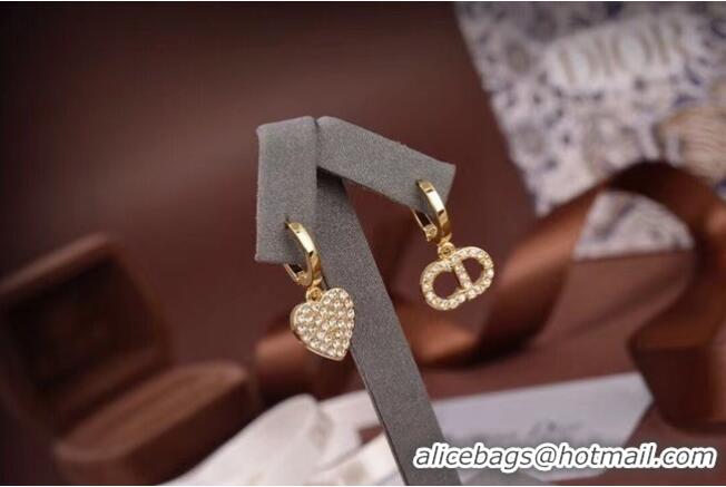 Fashion Wholesale Dior Earrings CE6473