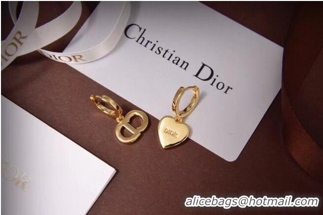 Fashion Wholesale Dior Earrings CE6473