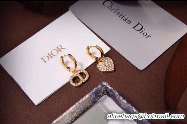 Fashion Wholesale Dior Earrings CE6473