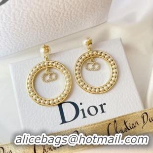 Well Crafted Dior Earrings CE6477