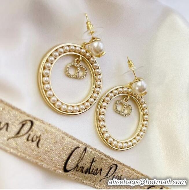 Well Crafted Dior Earrings CE6477