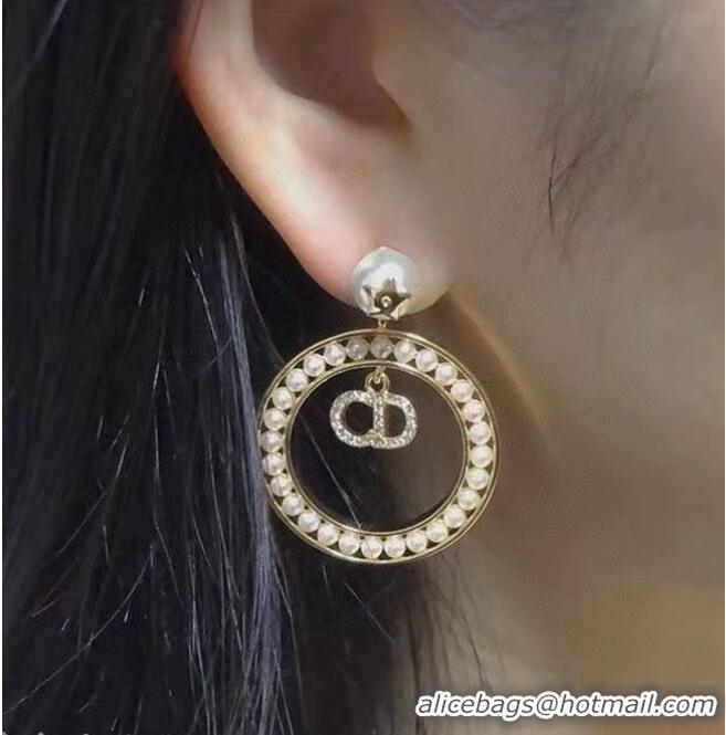 Well Crafted Dior Earrings CE6477