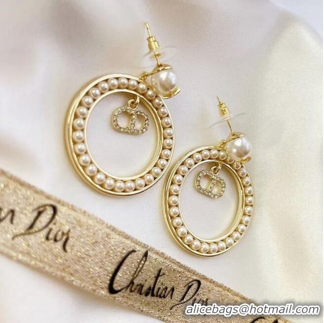 Well Crafted Dior Earrings CE6477